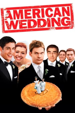 American Wedding (2003) Hindi Dual Audio [850MB]