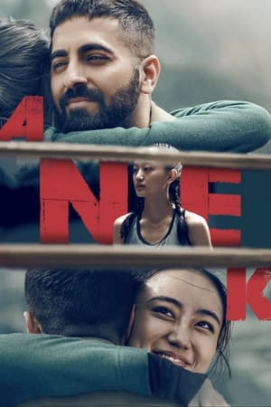 Anek 2022 Hindi Movie –