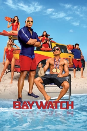 Baywatch 2017 Dual Audio Hindi ORG 300MB