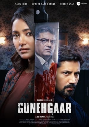 Gunehgaar (2023) Hindi