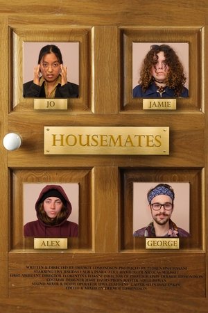 Housemates (2025) Hindi (MULTI AUDIO) – – 1080p