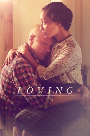 Loving (2016) Hindi Dual Audio [1.2GB]