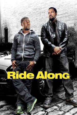 Ride Along (2014) Hindi Dual Audio 300MB