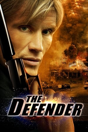 The Defender (2004) Hindi Dual Audio [1.2GB]