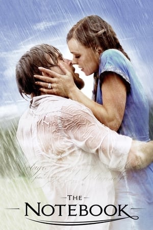The Notebook 2004 Dual Audio Hindi 400MB