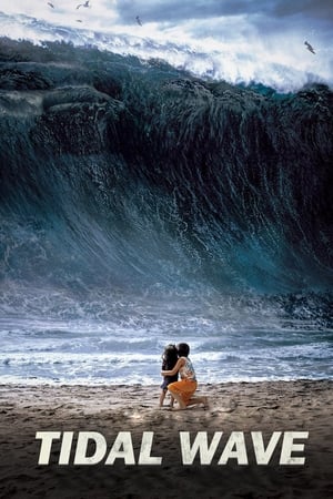 Tidal Wave (2009) Hindi Dual Audio [1GB] ESubs
