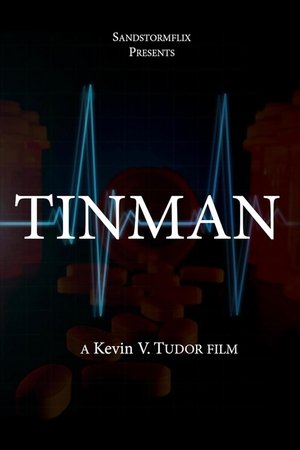 Tinman (2025) Hindi (MULTI AUDIO) – – 1080p