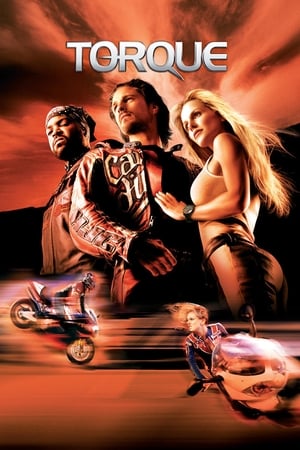 Torque 2004 Hindi Dual Audio [600MB] Download