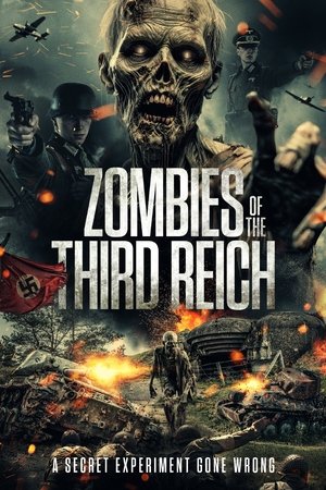 Zombies of the Third Reich (2025) Hindi (MULTI AUDIO) – – 1080p